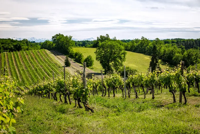 Le Domaine du Bilé (à 25 minutes)